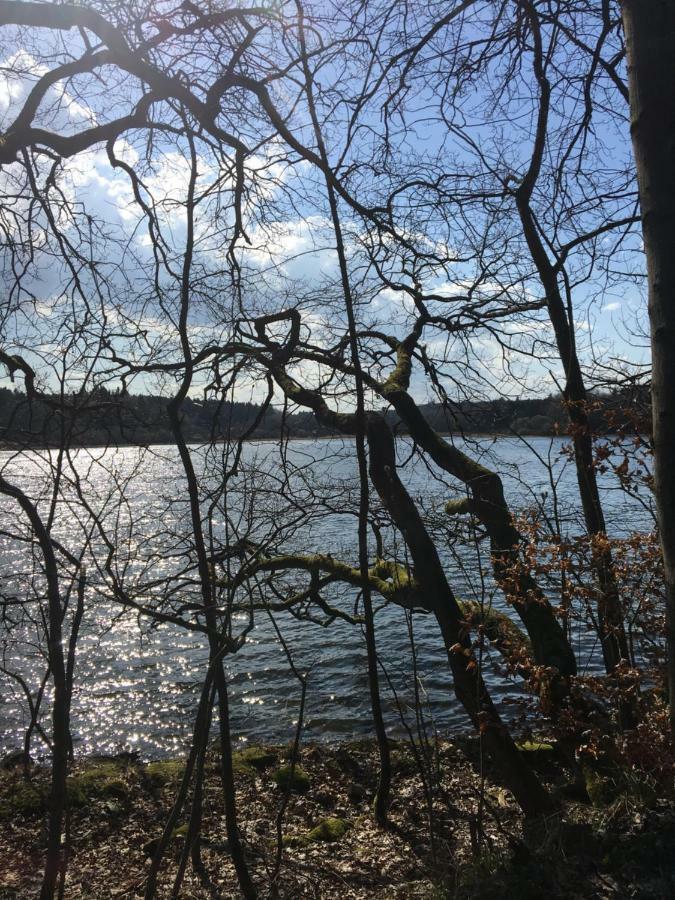 Ferienwohnung Am Wald Hachenburg Eksteriør billede