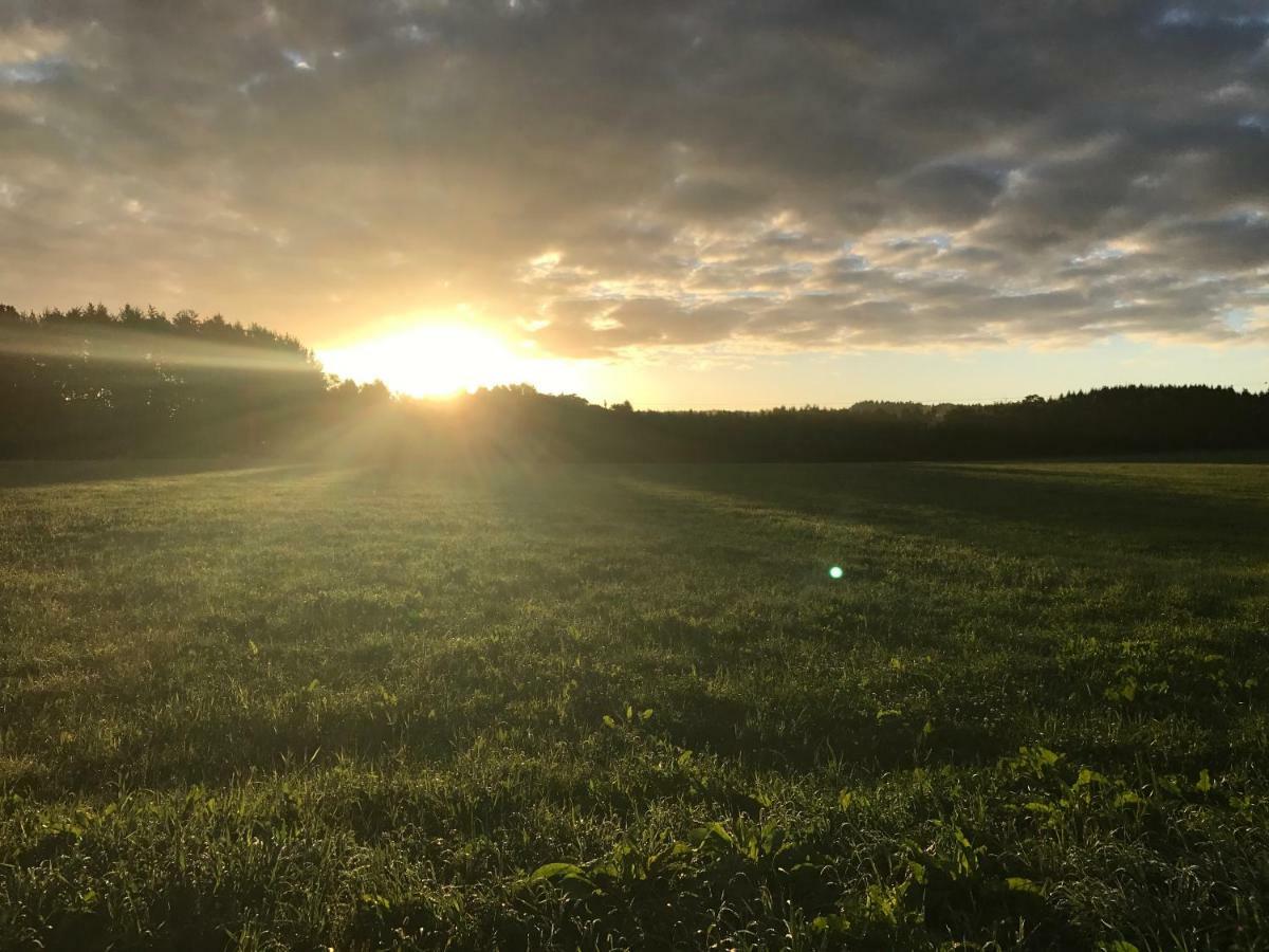 Ferienwohnung Am Wald Hachenburg Eksteriør billede